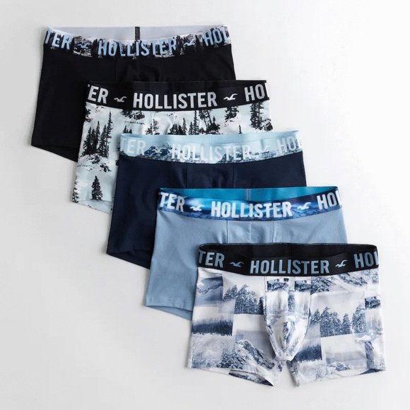 Hollister Other - HOLLISTER Classic Length Boxer Brief 5-Pack sz M